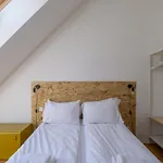 Mooeve Boxi Mid Berlin
