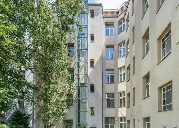 Mooeve Boxi Mid Берлин